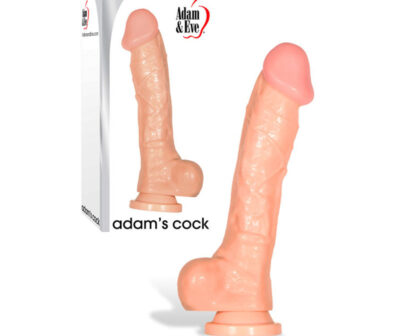 Adam & Eve Adam's Cock